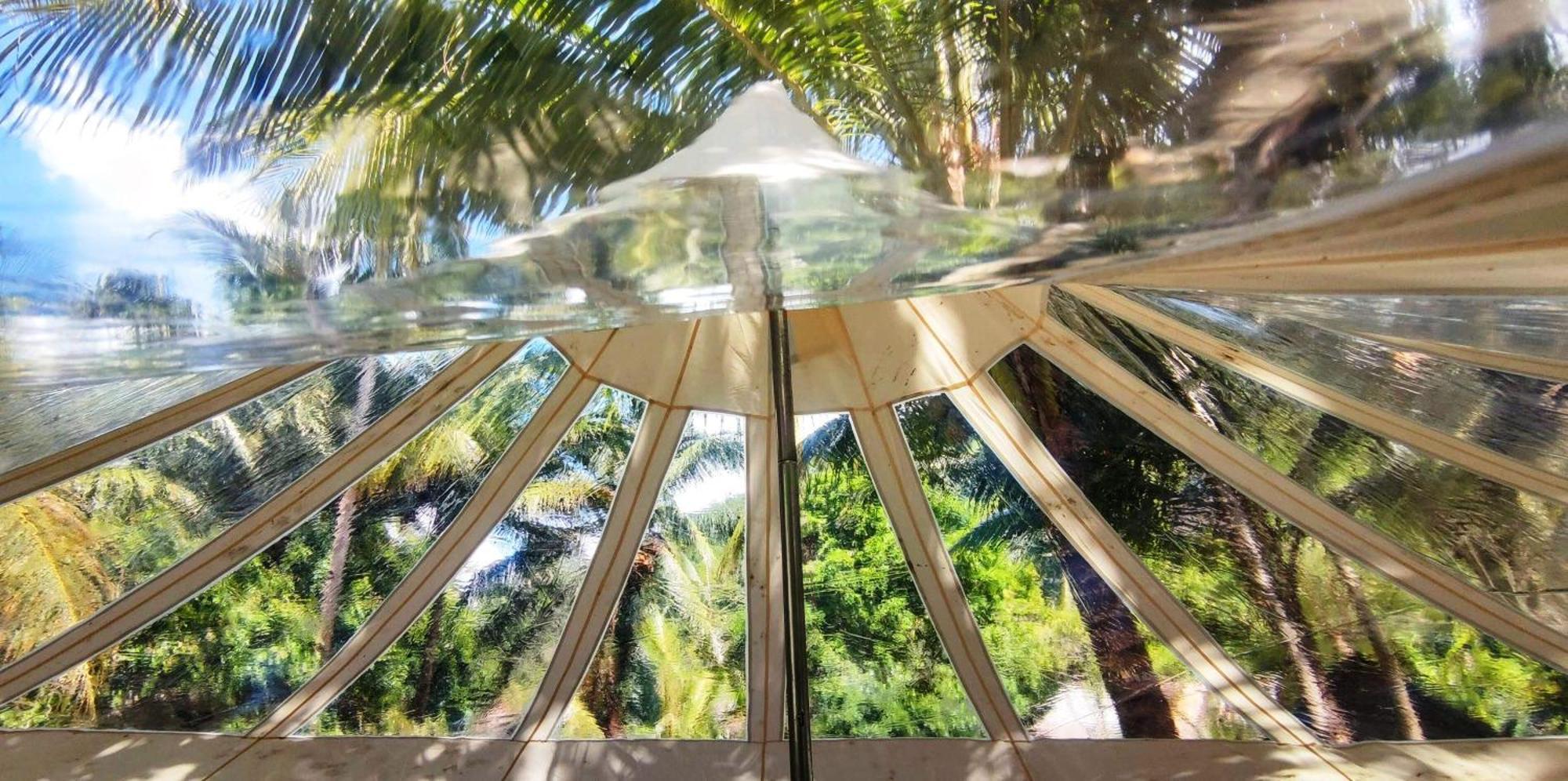 Firesky Glamping Ocam Ocam Beach New Busuanga 외부 사진